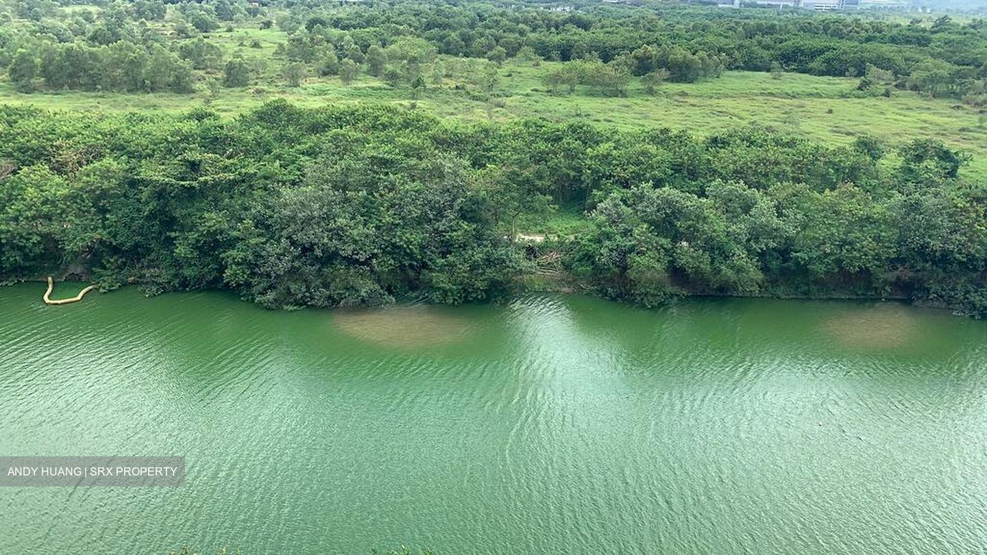 Kingsford Waterbay (D19), Apartment #497149651